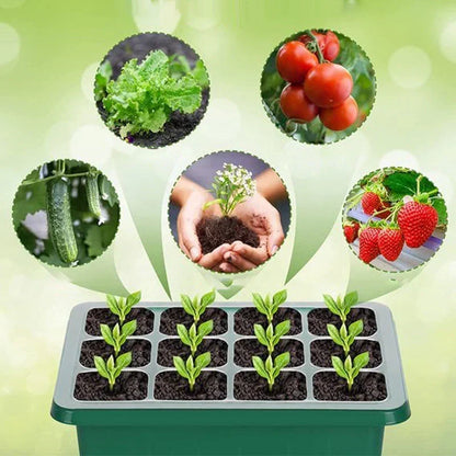 🔥🥳 HOT SALE 2026 🥳 💞 50,000+ SOLD!🎉Seed starter trays with grow light