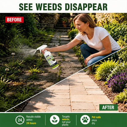 ⚡ [Easy and stress-free weeding in the garden] Herbicide for domestic use (offer)