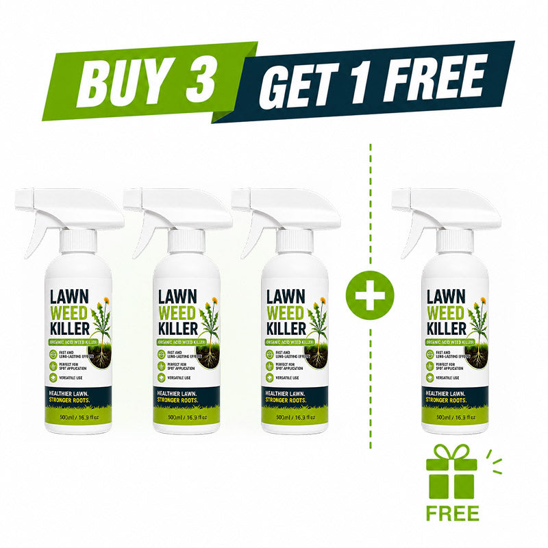 🔥BUY 3 GET 1 FREE