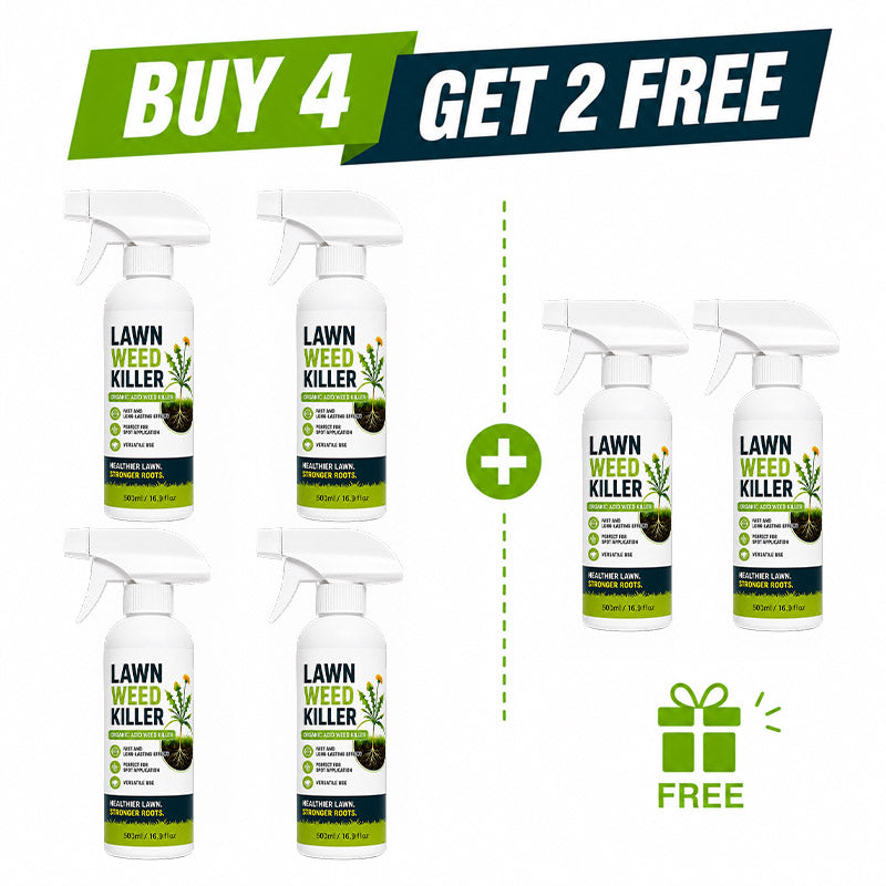 🔥🔥BUY 4 GET 2 FREE