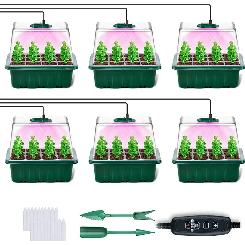 🔥🥳 HOT SALE 2026 🥳 💞 50,000+ SOLD!🎉Seed starter trays with grow light