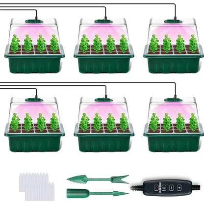 🔥🥳 HOT SALE 2026 🥳 💞 50,000+ SOLD!🎉Seed starter trays with grow light